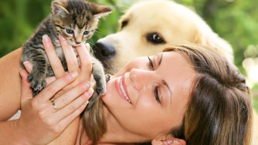 El mejor “san Valentín” tiene bigotes y cuatro patas