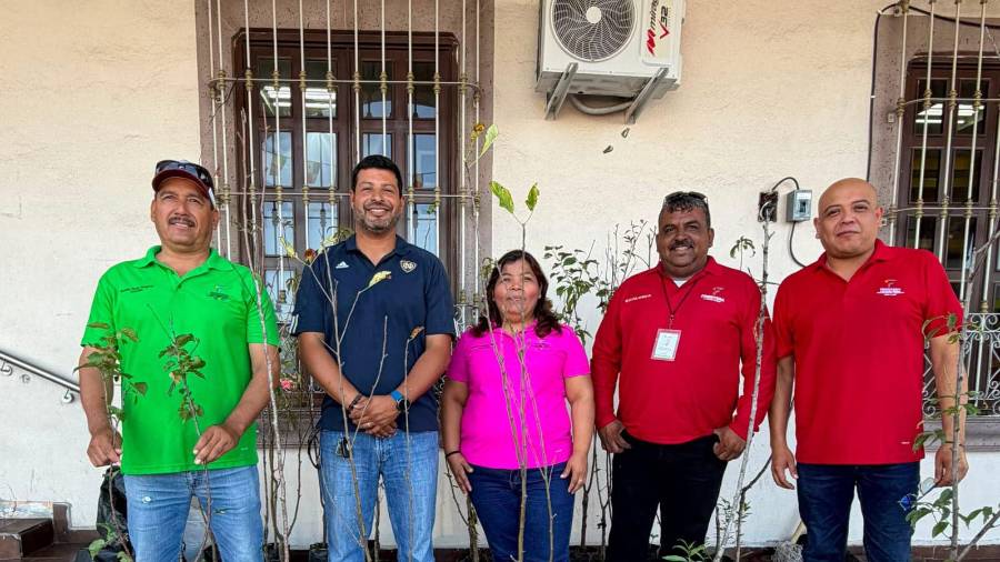 Incentivan en Frontera a adoptar árboles disponibles y participar en la campaña ambiental.