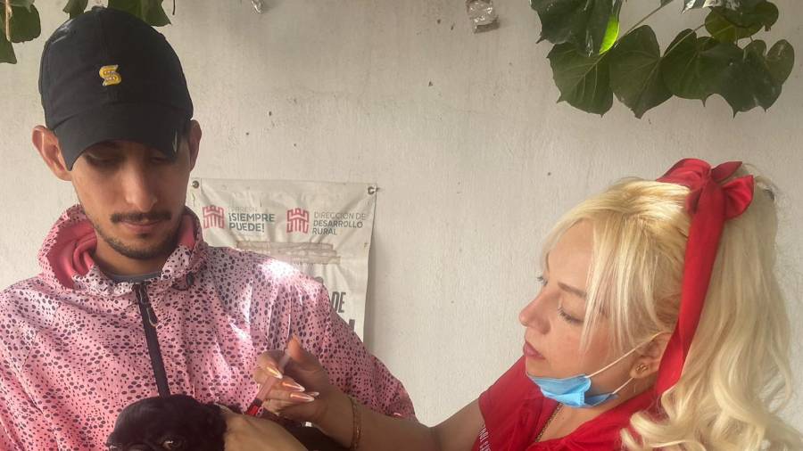 La jornada incluye revisión básica y orientación para evitar la proliferación de garrapatas en el hogar.