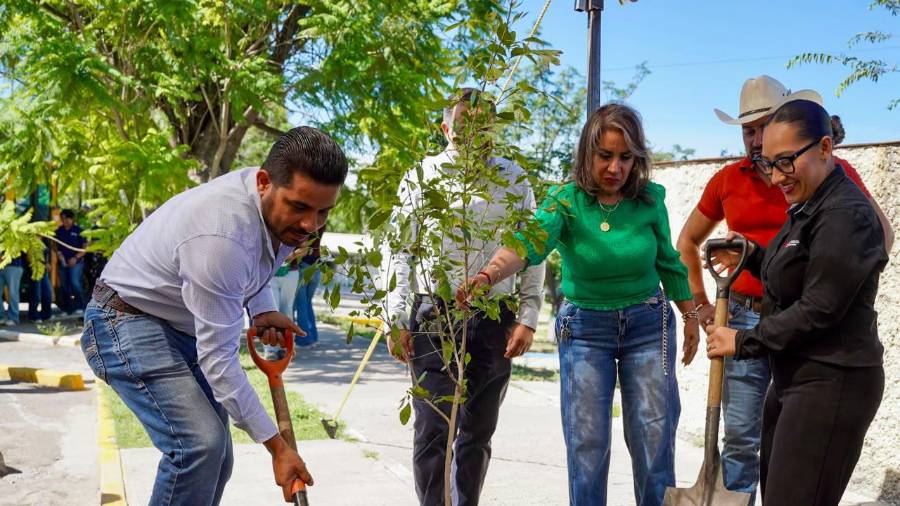 Estudiantes, trabajadores de Lennox y personal municipal de Ramos Arizpe plantaron 60 fresnos en las instalaciones del Instituto Miguel Ángel Rodríguez Calderón (IMARC).