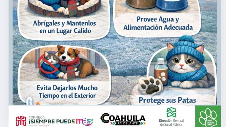 Mantener a las mascotas abrigadas y en lugares seguros reduce riesgos a su salud en invierno.