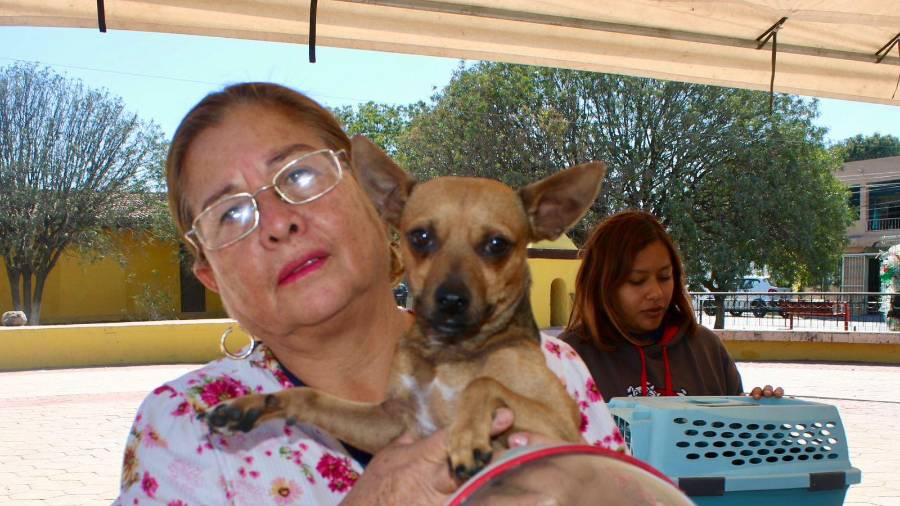 La jornada de atención veterinaria gratuita se realizará en el Centro Comunitario de Parajes de Los Pinos.
