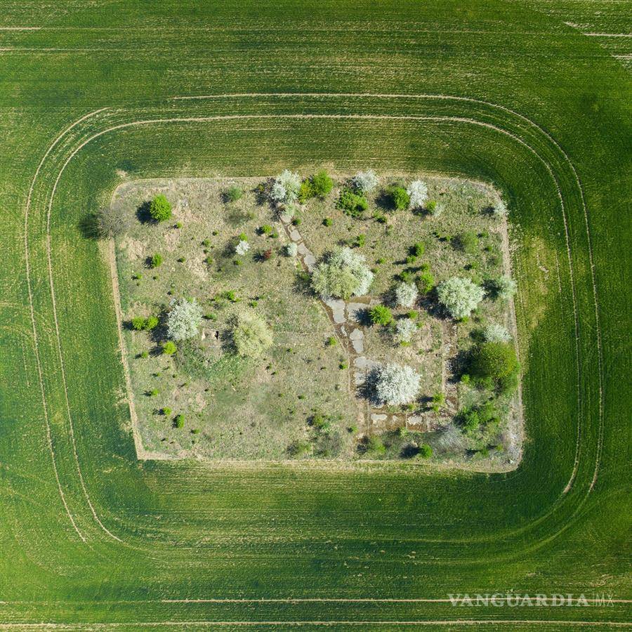 $!Mira cómo festeja el Día de la Tierra sus primeros 50 años con una pandemia global por el COVID-19