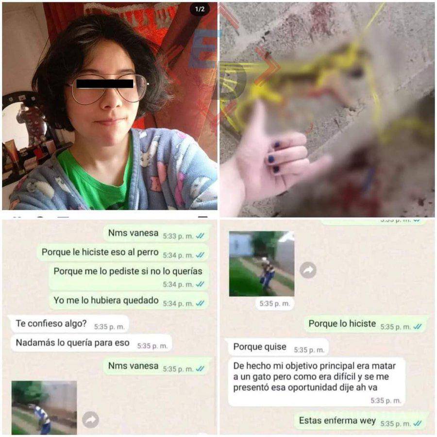 $!Vanessa, la adolescente que mató a ‘Huellitas’, podría pasar 8 años en la cárcel