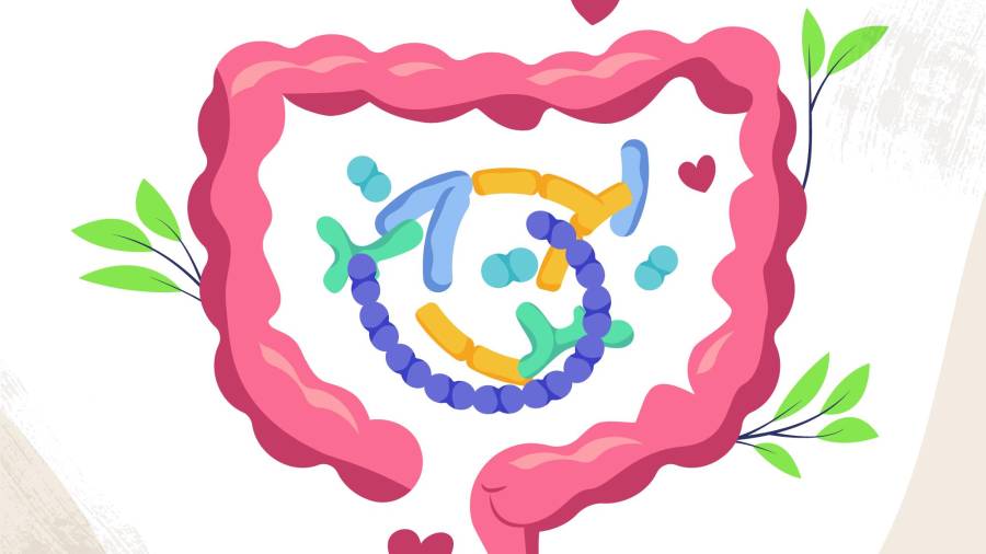 Los postbióticos podrían convertirse en una herramienta clave para el bienestar intestinal.