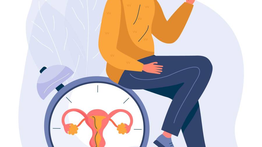 Cuando las mujeres llegan al final de la etapa reproductiva, sus cuerpos vuelven a sufrir una transformación: la menopausia.