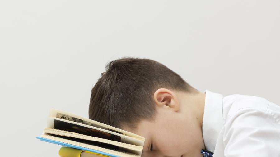 El desempeño escolar depende de diversos factores y desarrollo de la persona.