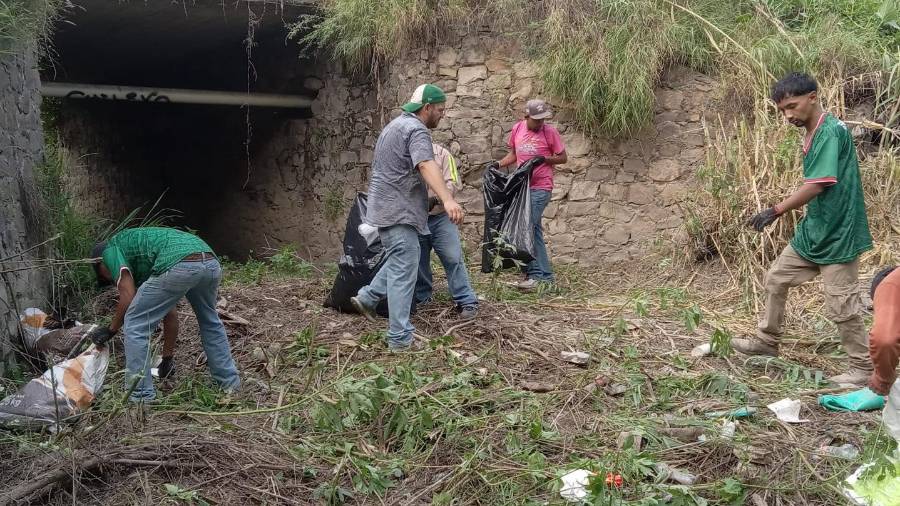 Las acciones se desarrollan en coordinación con las Direcciones de Protección Civil y Ecología.