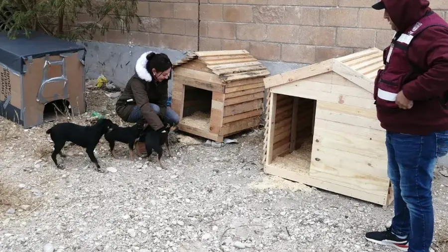 Diez nuevas ‘casitas’ serán habilitadas en Piedras Negras para proteger a las mascotas ante las altas temperaturas.