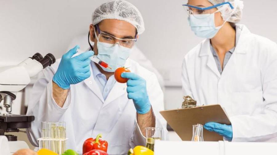 El Doctorado en Ciencia y Tecnología de Alimentos, se impartirá de agosto de 2025 a julio de 2028.