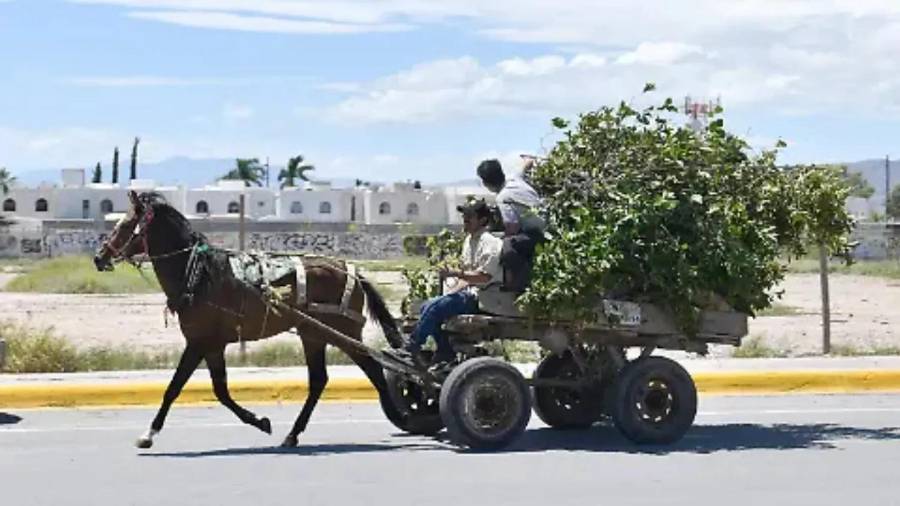 El municipio reforzará la presencia de inspectores en colonias con reportes recurrentes.