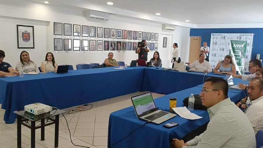 La Asociación Mexicana de Profesionales Inmobiliarios (AMPI), sección Piedras Negras, participará por primera vez en el Consejo de Desarrollo Urbano Municipal tras la invitación del Ayuntamiento.