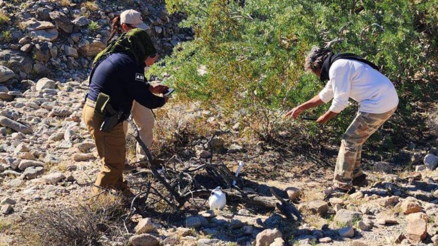Integrantes de colectivos de búsqueda y autoridades estatales realizan trabajos de excavación y peritaje en la Reserva Miguel Alemán, en Mexicali, donde se han localizado fosas clandestinas y restos humanos