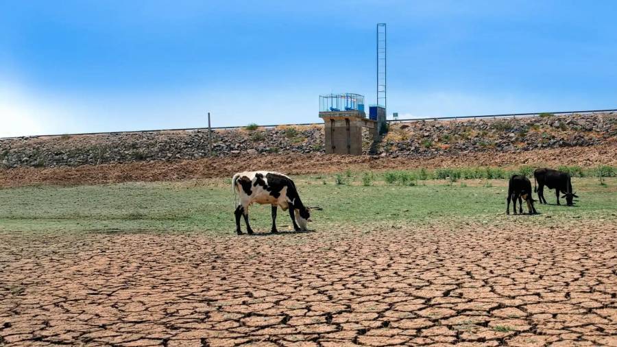 El Gobierno estatal analiza con un comité técnico la continuidad del programa de bombardeo de nubes, con una posible definición hacia finales de noviembre.