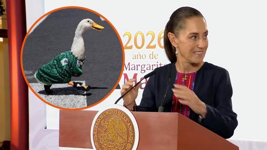 La familia del Pato Merlín, conocido en redes sociales por sus videos con el pato futbolista como protagonista, recibió un departamento a través de un programa de vivienda en la CDMX.