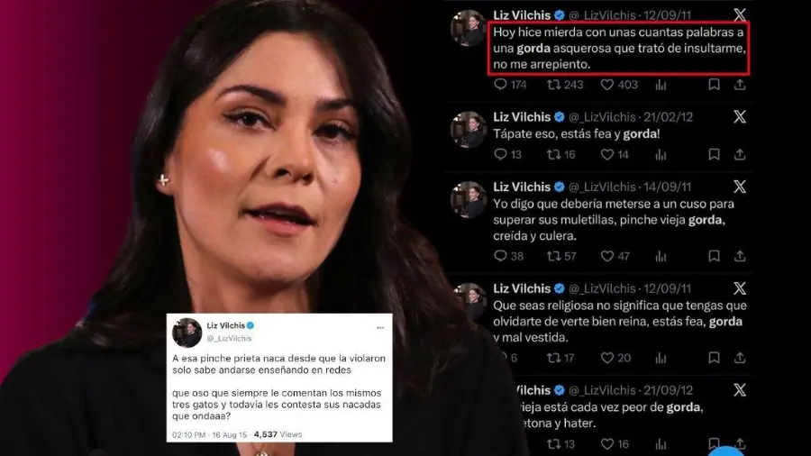 Liz Vilchis reconoció antiguos mensajes publicados en X y ofreció una disculpa, mientras su cuenta en esa red social dejó de estar disponible.
