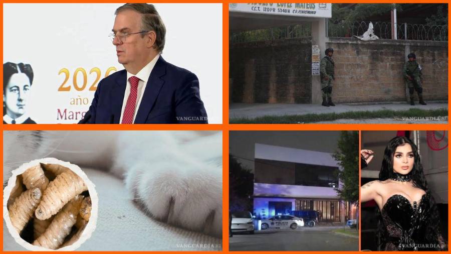 Las noticias más importantes del 29 de julio en México 2026