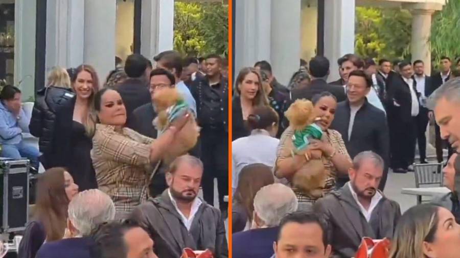 Mariana Gutiérrez quedó envuelta en polémica tras difundirse un video por presunto maltrato animal y acciones legales contra periodistas.