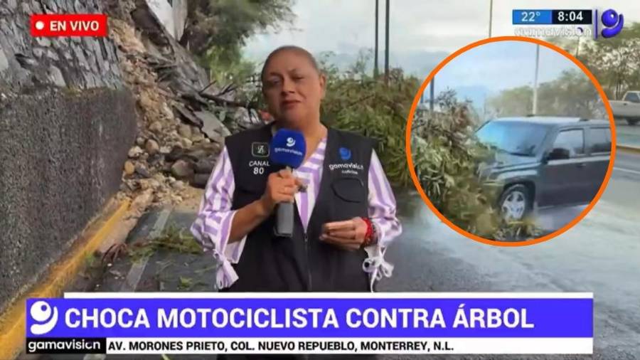 La reportera Alma Mireya de la Rosa y su camarógrafo, Cristo Morales, fueron atropellados por una camioneta cuando realizaban un reporte en vivo.