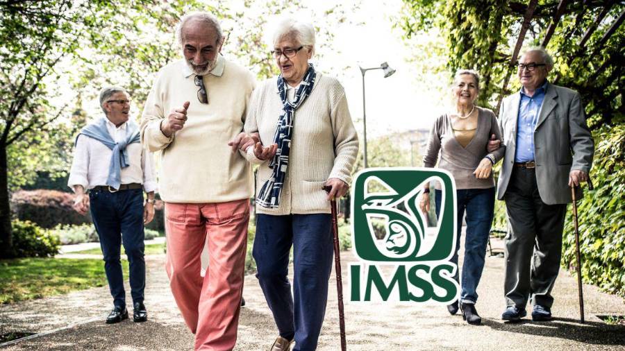 Personas pensionadas del IMSS recibirán sus depósitos mensuales de 2026 en los primeros días de cada mes, según el calendario oficial difundido por la institución.