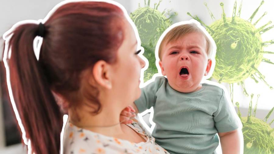 Conocida como la “tos de los 100 días”, la tos ferina, también conocida como pertussis, es una enfermedad respiratoria.