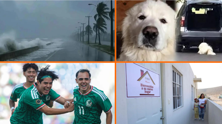 Noticias para el fin de semana: pronóstico del clima, registro de Vivienda para el Bienestar y detienen a la presunta responsable del maltrato contra el perro Rocky