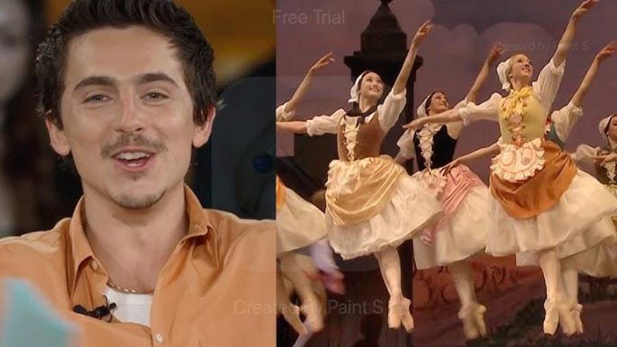 Cancelan a Timothée Chalamet y los artistas demuestran que ‘el arte está muy vivo’