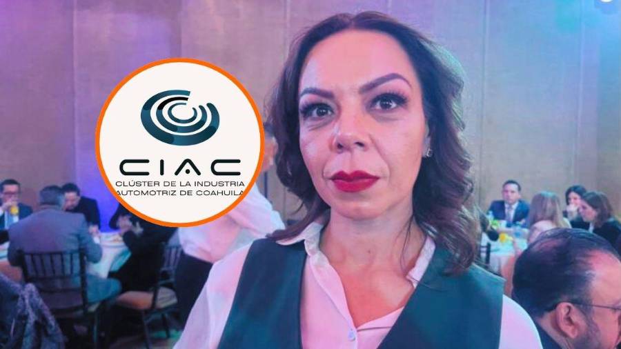 Lourdes Cobos mencionó que a pesar de la baja demanda de vehículos eléctricos se espera una restructuración que permita manejar las perdidas de este mercado.