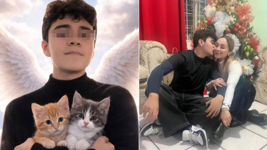 La muerte de Ricardo Mizael, adolescente de 15 años asesinado en Culiacán cuando salió a comprar comida para sus gatos, ha generado indignación social y exigencias de justicia.