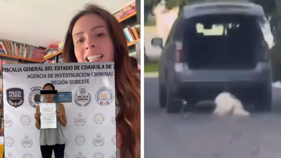‘Rocky’ permaneció en terapia intensiva tras ser rescatado, pero falleció debido a la gravedad de las lesiones que presentaba.