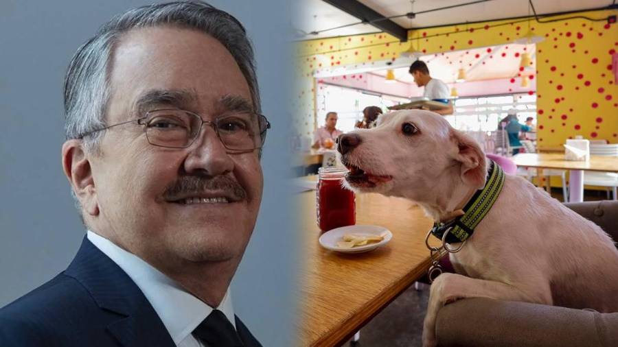 Un video de 2022 volvió a colocar a Pedro Sola en el centro de la controversia tras mostrarlo proponiendo cortar las cuerdas vocales a los perros.
