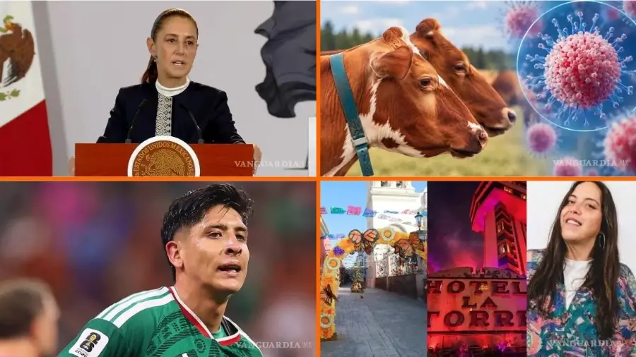Las noticias más importantes del 22 de octubre en México: CSP afirma que detectaron fraudes en Modalidad 40; Primera muerte por virus Shamonda; ¿Cómo operaba ‘Resistencia’?; ¿Qué hacer en Saltillo? y más.