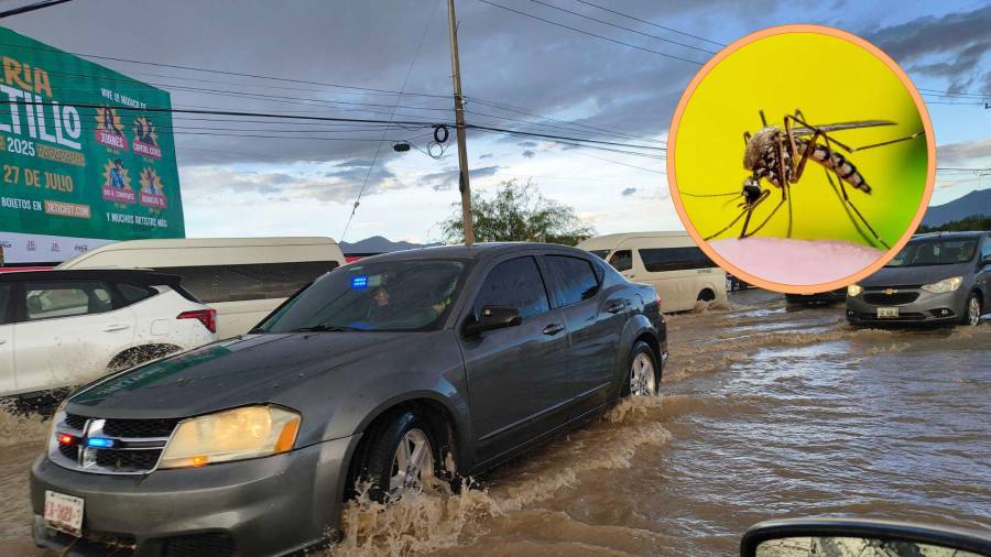 Durante la penúltima semana de junio, se presentaron lluvias en distintas partes de Saltillo | FOTO: VANGUARDIA