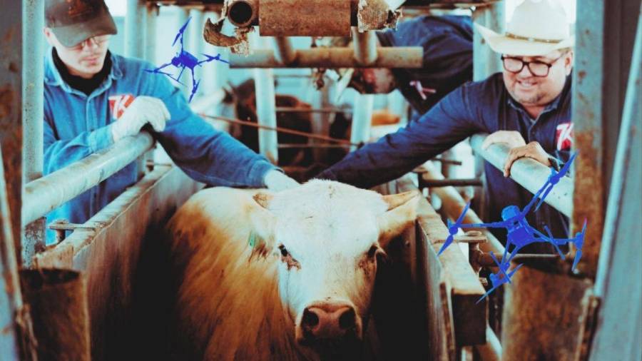 El presidente de la GCMA, Juan Carlos Anaya Castellanos, mencionó que estas medidas también obedecen a la necesidad de Trump de bajar la inflación en la carne de res en Estados Unidos.