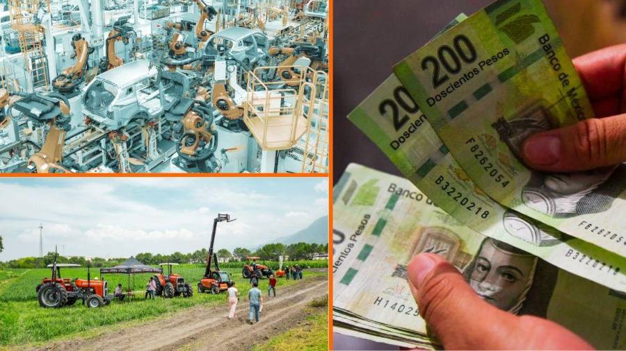 Según el Inegi, el IGAE permite conocer y dar seguimiento a la evolución del sector real de la economía en el corto plazo. Este proporciona valiosa información para la toma de decisiones.