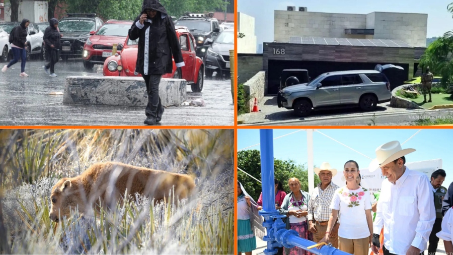 Noticias del fin de semana: ‘Se acabó la violencia contra las mujeres’; pronóstico de clima y nacen bisontes en Coahuila