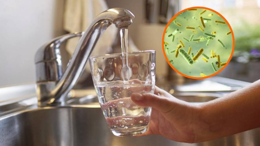 Aunque muchas personas la utilizan a diario, el agua de la llave puede contener microorganismos y contaminantes que representan riesgos para la salud si no recibe el tratamiento adecuado.