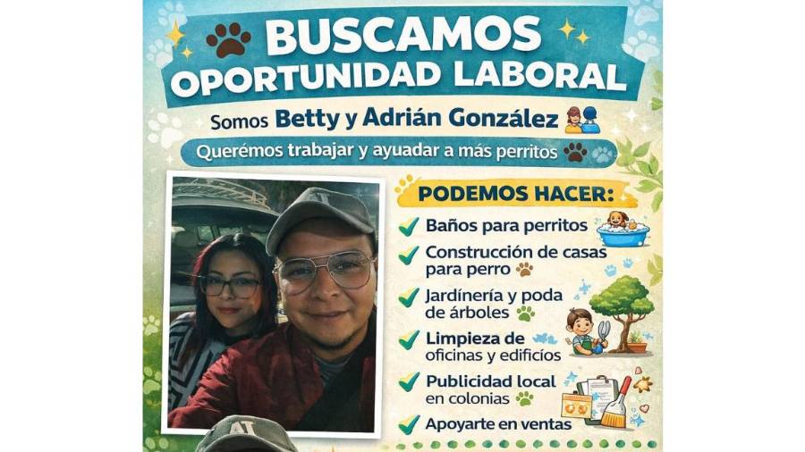 Entre sus habilidades, mencionan experiencia en el manejo de animales y construcción de casas para perro, además de otras actividades generales.