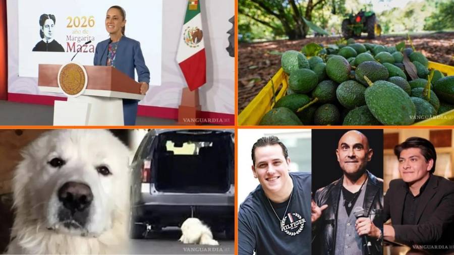 Las noticias más importantes del 13 de agosto en México. Lo más relevante el día de hoy, bajo la cobertura de VANGUARDIA.