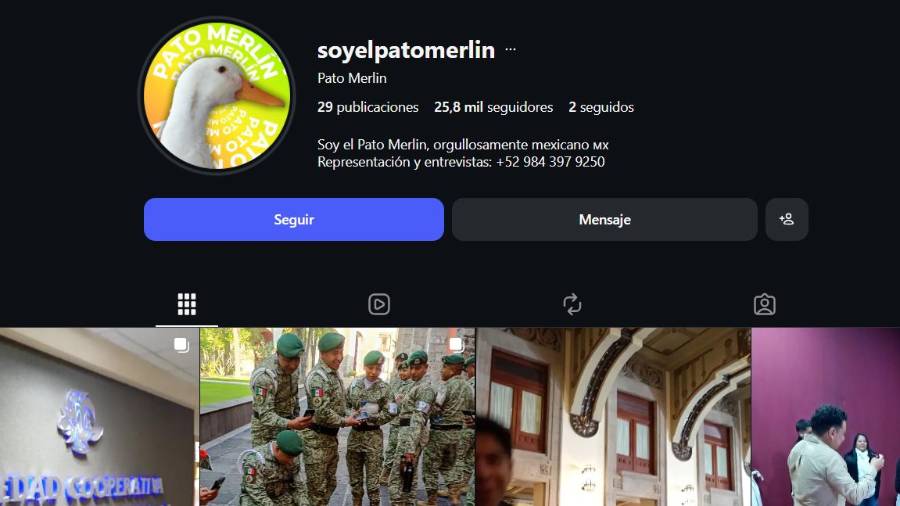 Pato Merlín llega a redes sociales con una cuenta oficial, momentos virales y respaldo del IMPI tras convertirse en símbolo mexicano durante el Mundial 2026.