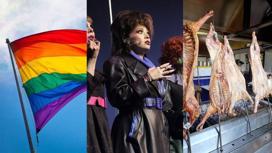 ¿Qué hacer en Saltillo? Mentiras el Musical, Festival del Orgullo, batalla de freestyle, Cabrito Fest y Duelo + La Casetera