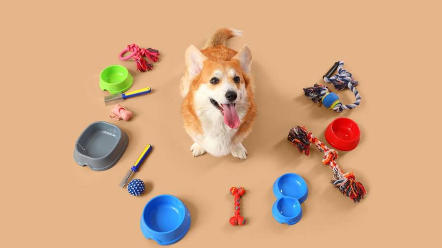 Alternar los juguetes puede ofrecer novedad al perro y mantener su interés en ellos.