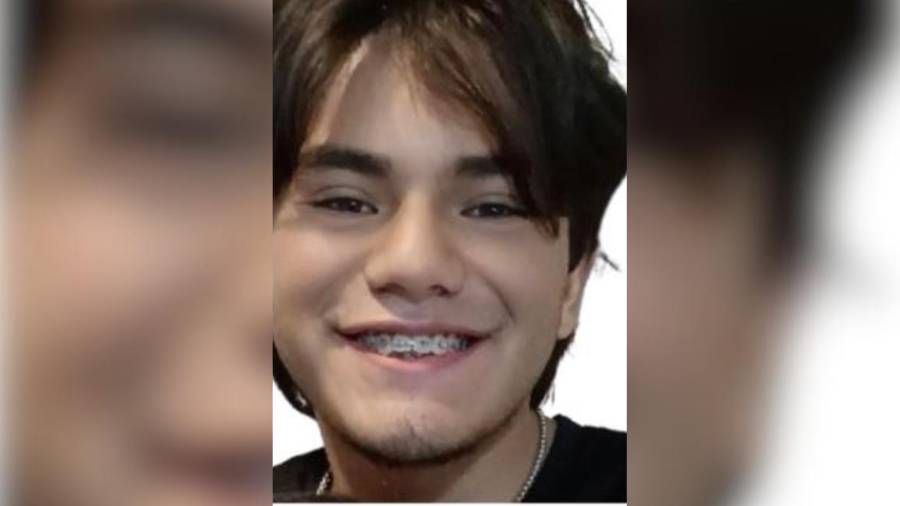 Entre las características proporcionadas para su identificación se encuentran una estatura aproximada de 1.62 metros, peso de 70 kilogramos y cabello mediano color castaño oscuro, además de la ropa que vestía al momento de desaparecer.