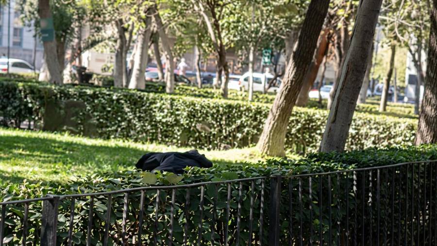 El video fue grabado durante el día en la Alameda de Saltillo y posteriormente difundido en redes sociales.