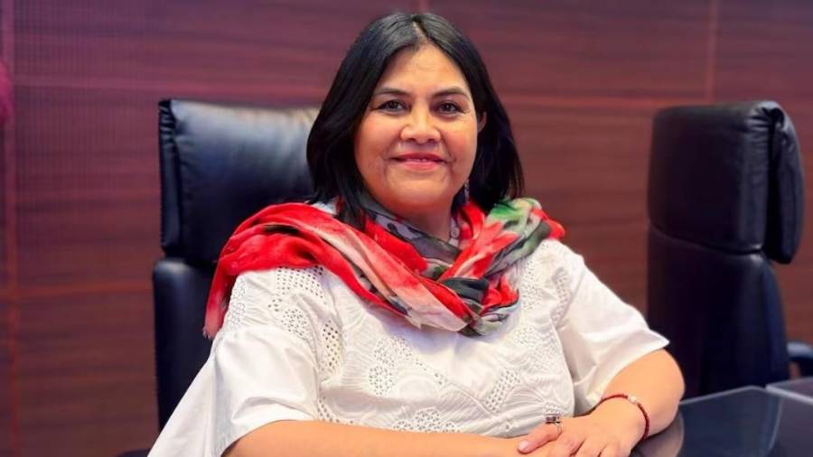 La legisladora, Guadalupe Shavira, señaló que en ese espacio se analizarán cambios a la participación de la inversión privada.