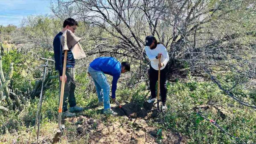 Familiares que han compartido las fichas también han enfatizado la edad de quienes desaparecen, al señalar que muchos de los casos corresponden a jóvenes.