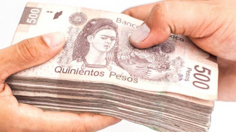 La dependencia informó que los recursos se concentraron principalmente en el apoyo a micro, pequeñas y medianas empresas.