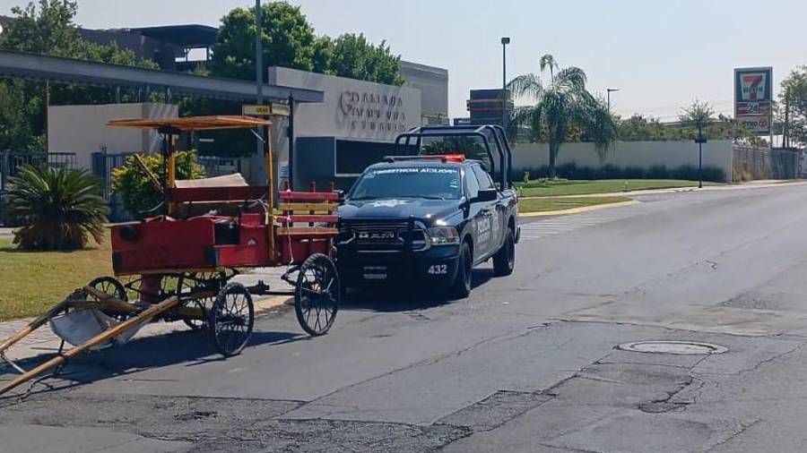 Un hombre fue detenido por policías municipales cuando maltrataba a un caballo que utilizaban como modo de tracción de un carretón, en Monterrey, Nuevo León.