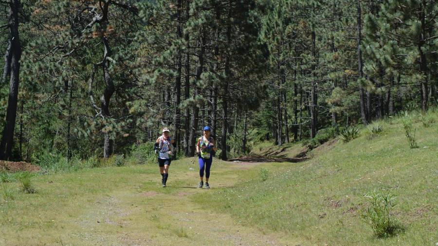 Los bosques de Arteaga son famosos a nivel nacional; a este Pueblo Mágico se le conoce como “La Suiza de México”.