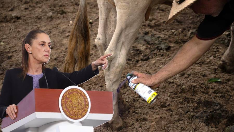 FOTO: ISABEL MATEOS HINOJOSA /CUARTOSCURO